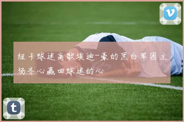 纽卡球迷高歌埃迪-豪的黑白军团主场齐心赢回球迷的心