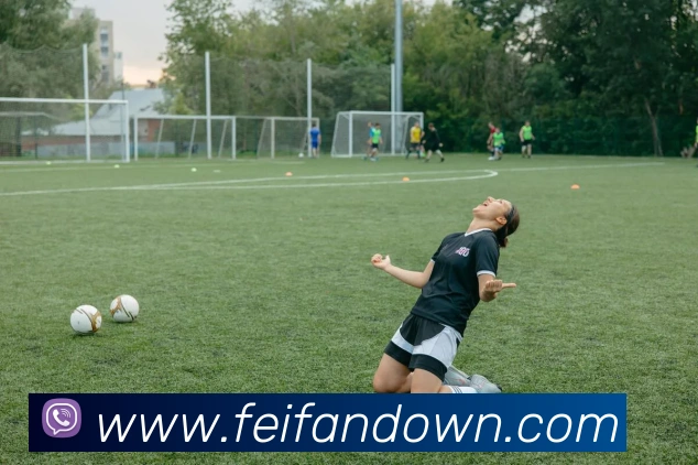 非凡体育服务体系